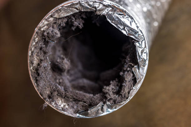Best Residential Air Duct Cleaning  in Haslett, MI